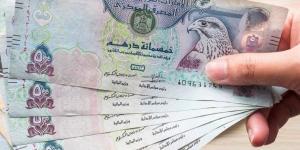 سعر الدرهم الإماراتي مقابل الجنيه في البنك المركزي (آخر تحديث)