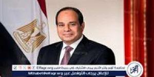 عاجل ـ السيسي يؤكد للعليمي ثوابت الموقف المصري: وحدة اليمن ودعم تسوية سياسية شاملة